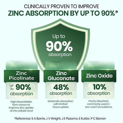 Vlado's Himalayan Organics Zinc Picolinate with Vitamin C & Copper | Zinc Supplement with 17 mg Elemental Zinc | 120 Vegetarian Capsules