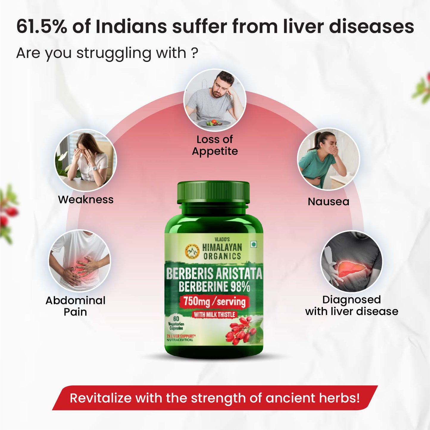 Vlado's Himalayan Organics Berberis Aristata Berberine 98% with Milk Thistle -60 Veg Capsules