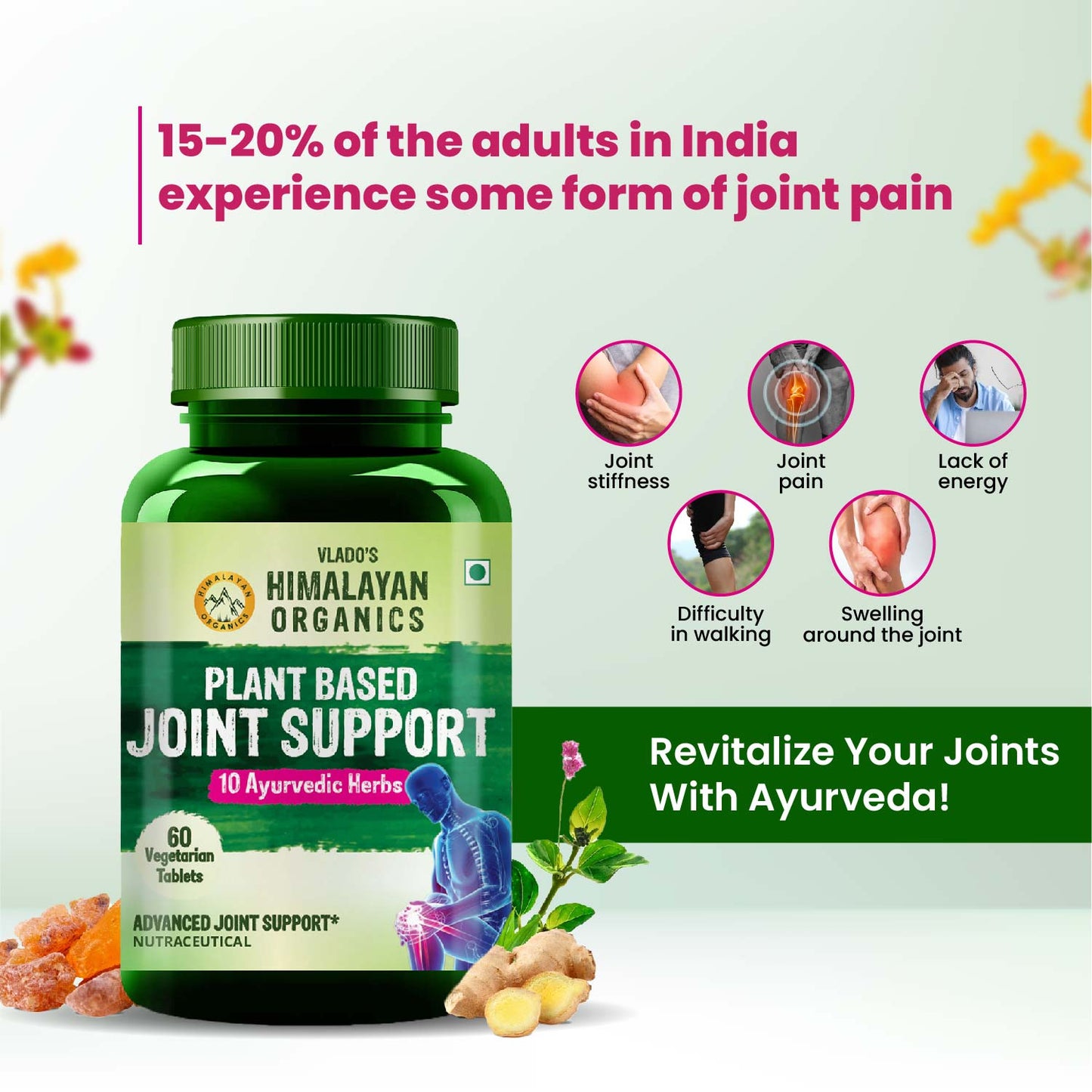Vlado's Himalayan Organics Plant-Based Joint Support with Boswellia Serrata, Turmeric, Amla, Moringa & 10 Ayurvedic Herbs – 60 Veg Tablets