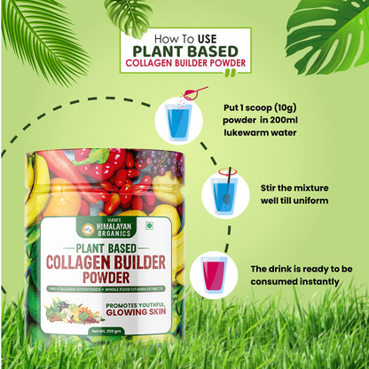 Vlado's Himalayan Organics Plant Based Collagen Builder Powder – 250gm