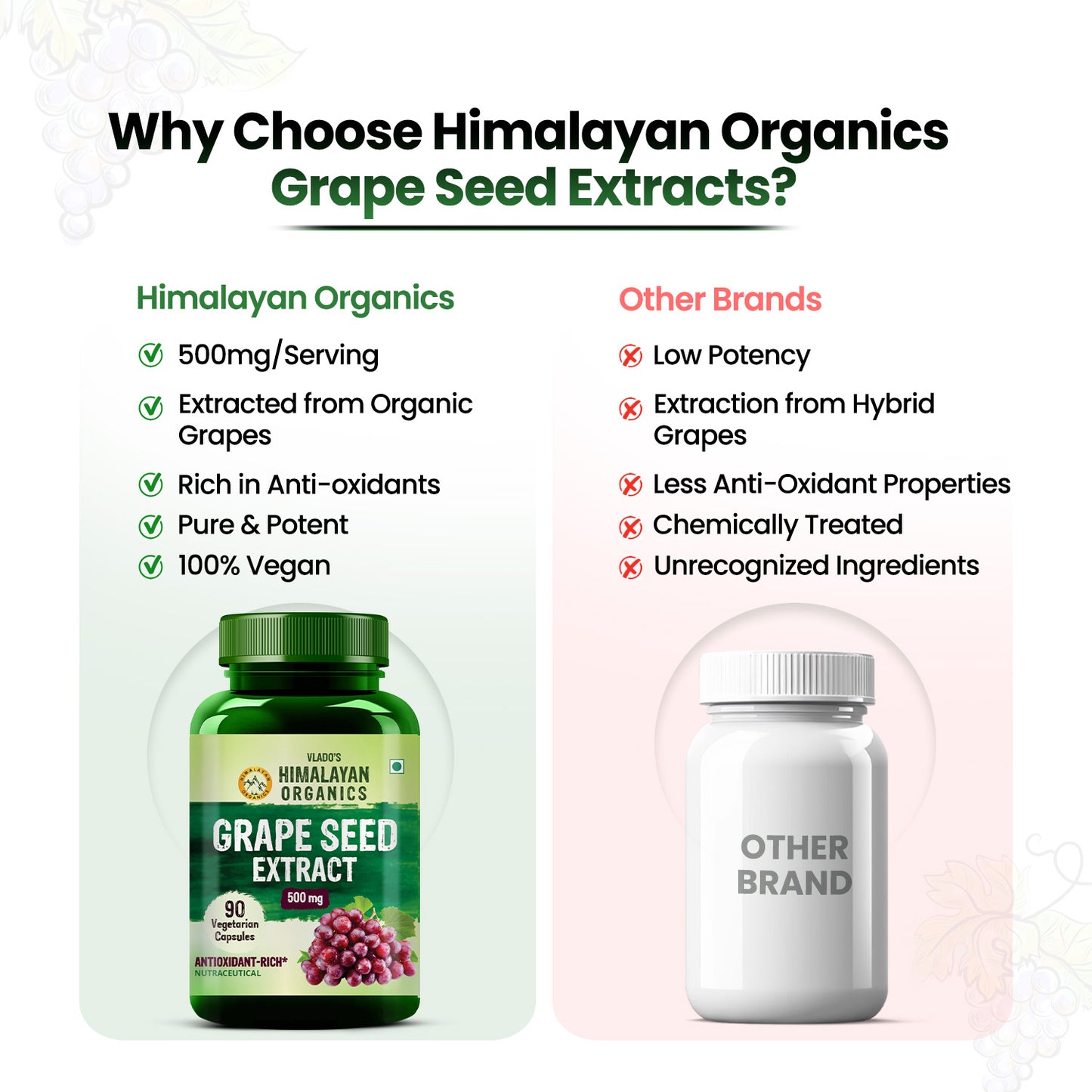 Vlado's Himalayan Organics Grape Seed Extract 500mg/Serving for Healthy Cholesterol Level - 90 Veg Capsules