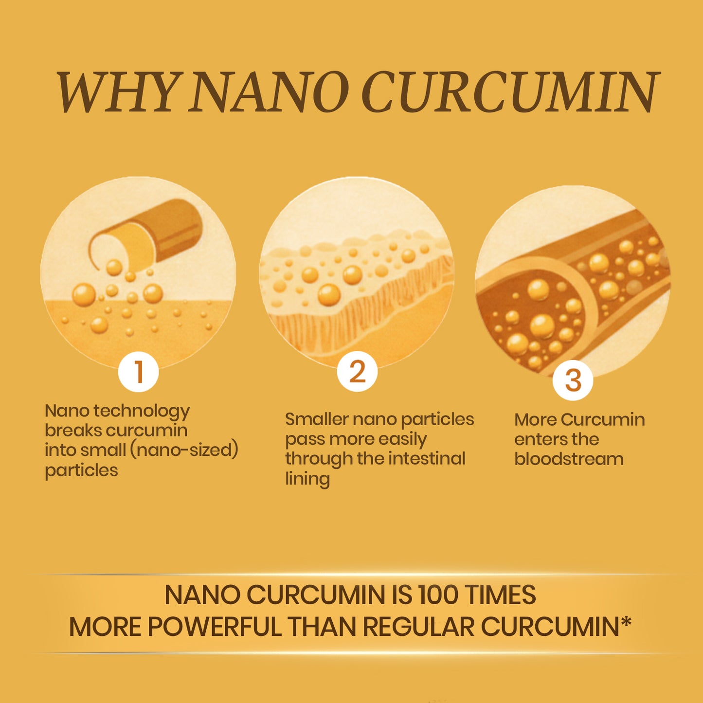 Vlado's Himalayan Organics Nano Curcumin 1600 mg+ | 95% Curcuminoids with Turmeric & Piperine | Dietary Supplement for Men & Women | 60 Capsules