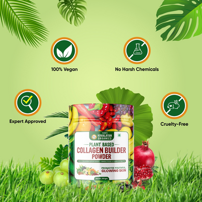 Vlado's Himalayan Organics Plant Based Collagen Builder Powder – 250gm