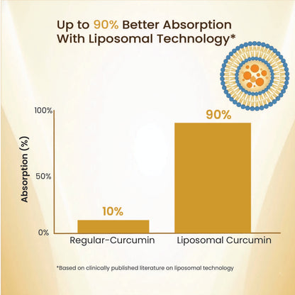 Vlado’s Himalayan Organics Liposomal Curcumin 2200 mg+ with BioPerine & Herbal Extracts – 60 Vegetarian Tablets