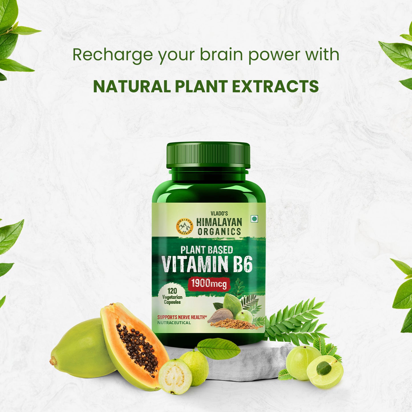 Vlado's Himalayan Organics Plant-Based Vitamin B6 120 Capsules