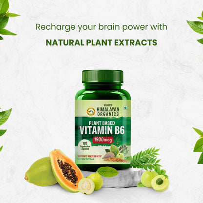 Vlado's Himalayan Organics Plant-Based Vitamin B6 120 Capsules