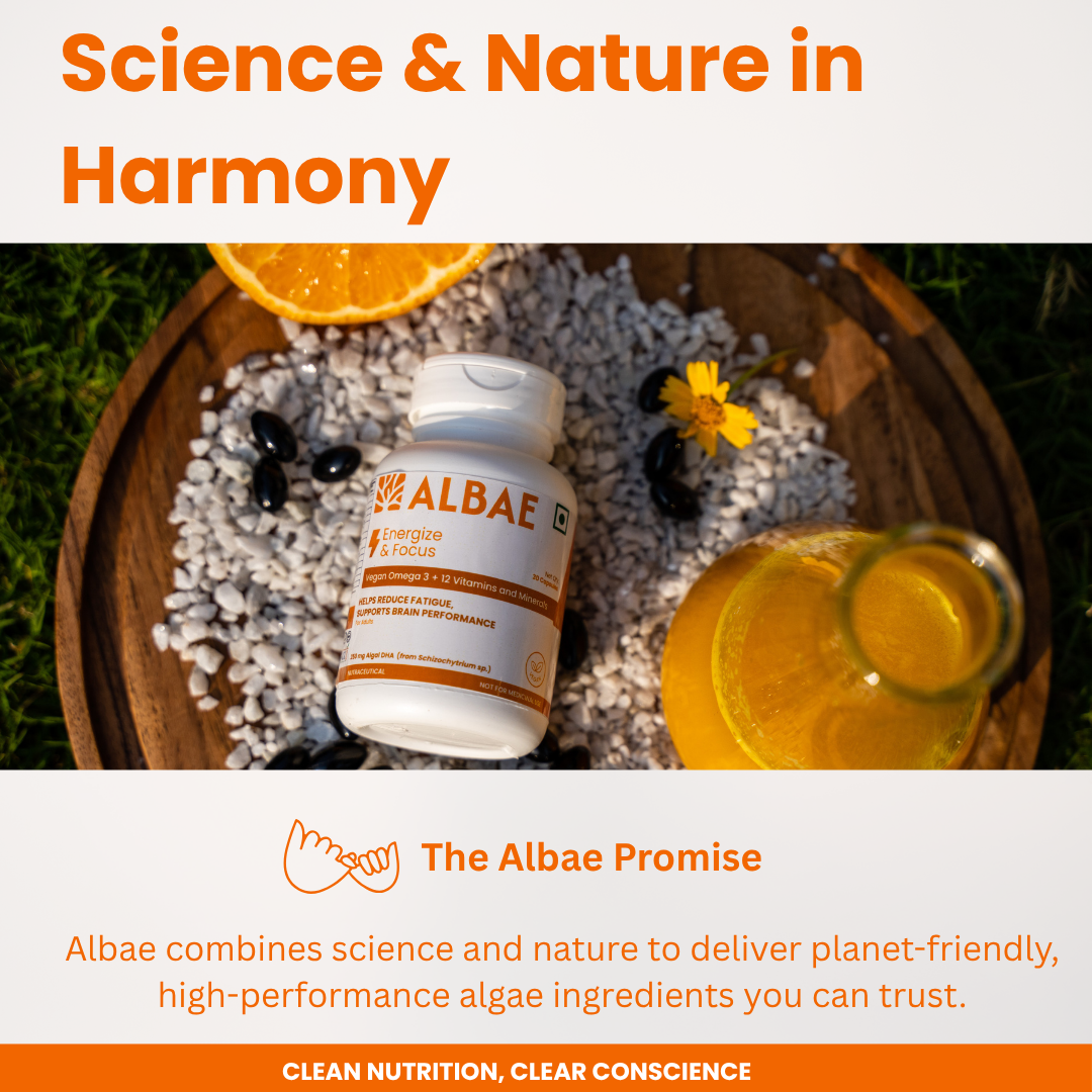 Albae Energize & Focus | 250mg Plant-based Algal DHA Omega-3 + 12 Essential Vitamins & Minerals | Supports Brain Function, Mental Performance & Energy | 30 Lemon-Scented Plant Based Softgels.