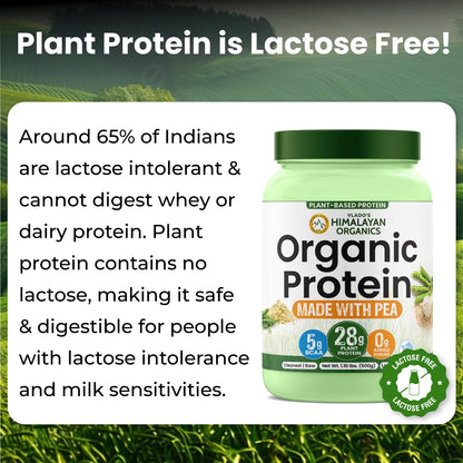 Vlado Himalayan Organics Plant-Based Protein Powder | 100% Organic Pea Protein | 28g Protein, 5g BCAA per Serving | Clean, Vegan, Fast-Absorbing | No Bloating, Easy to Digest | Unflavoured – 500g
