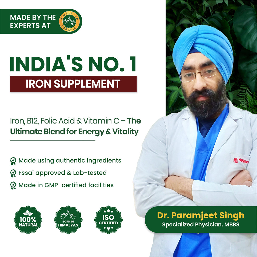 Vlado's Himalayan Organics Plant Based Iron with Folate - 90 Veg Capsules