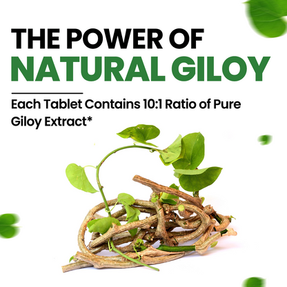 Vlado's Himalayan Organics Giloy Extract | Immunity Booster | Helps in Blood Purification | 120 Veg Tablets