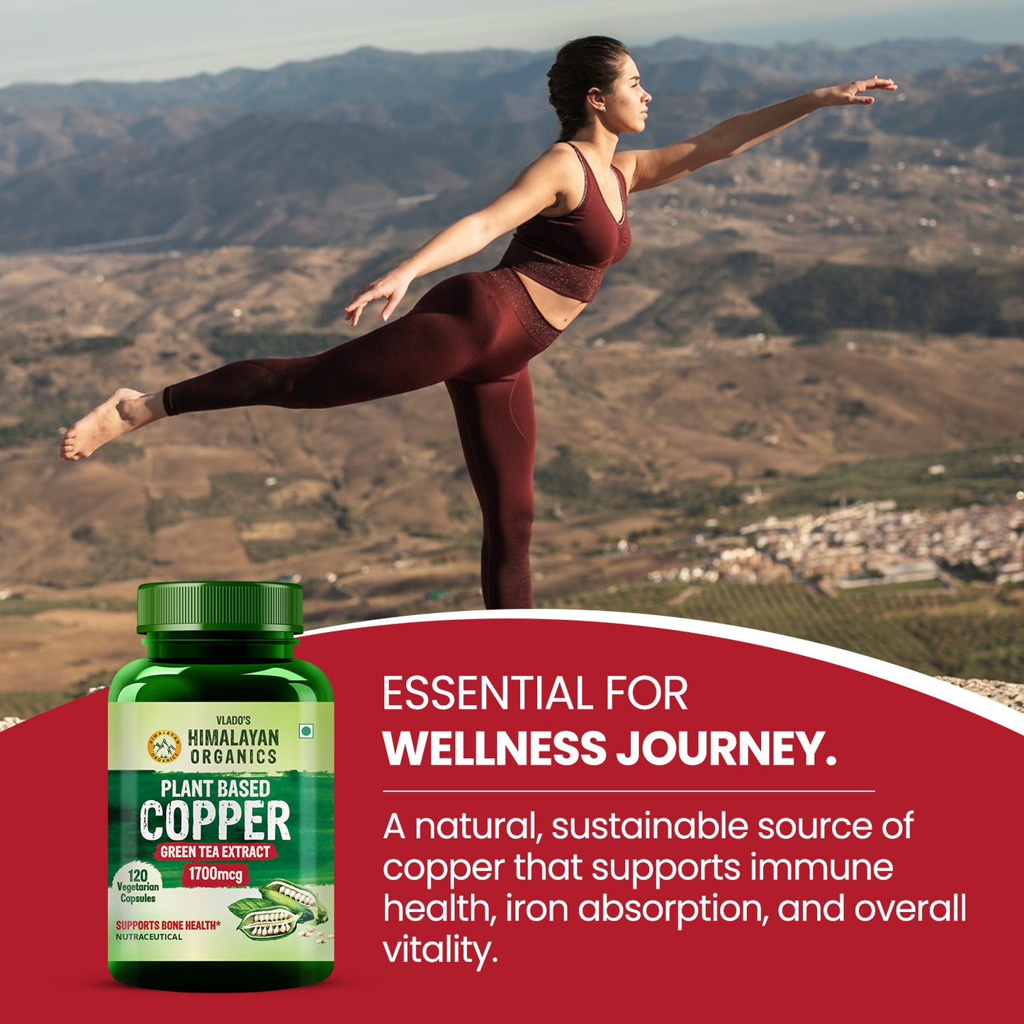 Vlado's Himalayan Organics Plant Based Copper 1700mcg with Green Tea Extract | Support Connective Tissues | Good For Bone Health - 120 Veg Capsules