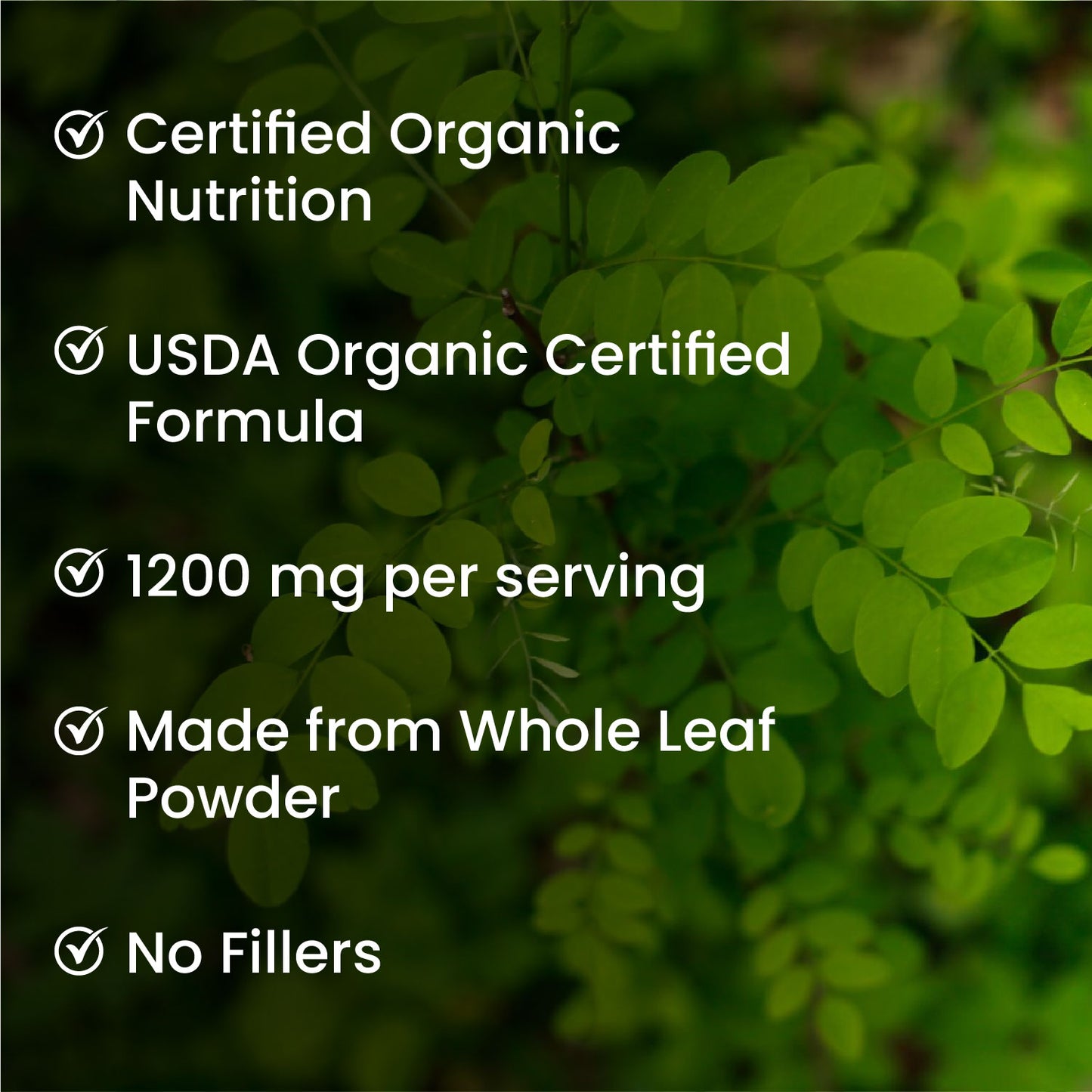 Vlado’s Himalayan Organics Organic Moringa Tablets | 1200 mg Moringa Leaf Extract | Pure Plant-Based Superfood | 60 Tablets