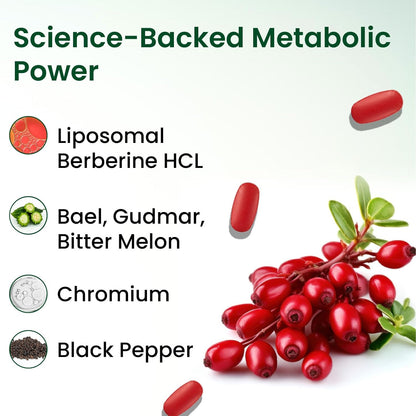 Vlado’s Himalayan Organics Liposomal Berberine HCL+ 1500 mg | With Piperine, Chromium, Bitter Melon, Bael & Gudmar | Advanced Herbal Blend | 60 Veg Tablets