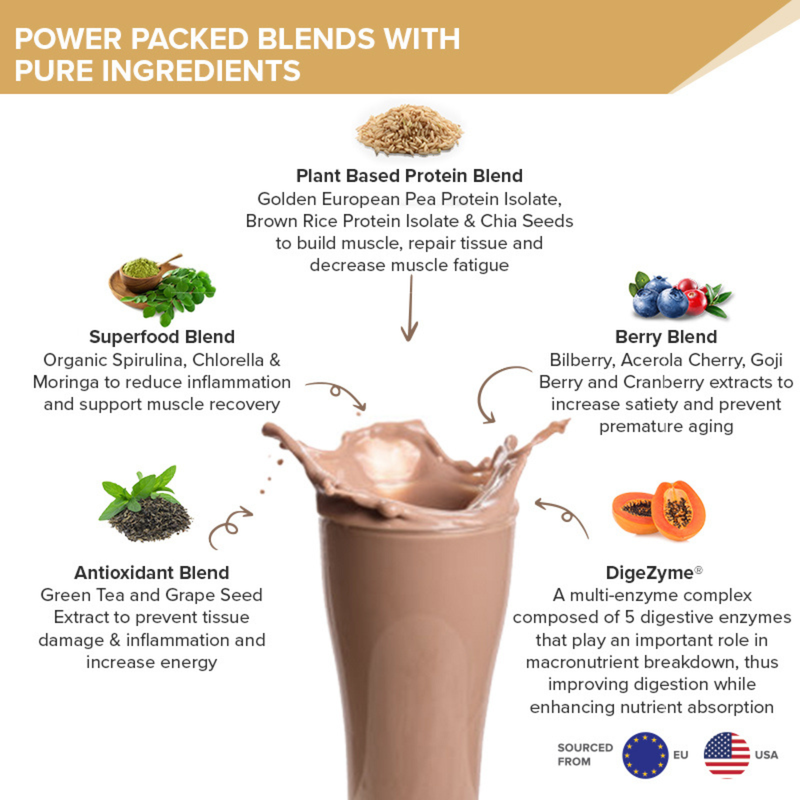 Wellbeing Nutrition Plant Protein Superfood Dark Chocolate Hazelnut 32gm