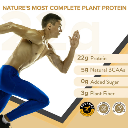 Wellbeing Nutrition Plant Protein Superfood -Italian Cafe Mocha 32gm