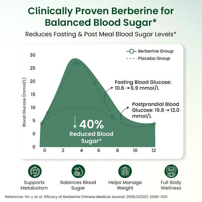 Vlado’s Himalayan Organics Liposomal Berberine HCL+ 1500 mg | With Piperine, Chromium, Bitter Melon, Bael & Gudmar | Advanced Herbal Blend | 60 Veg Tablets