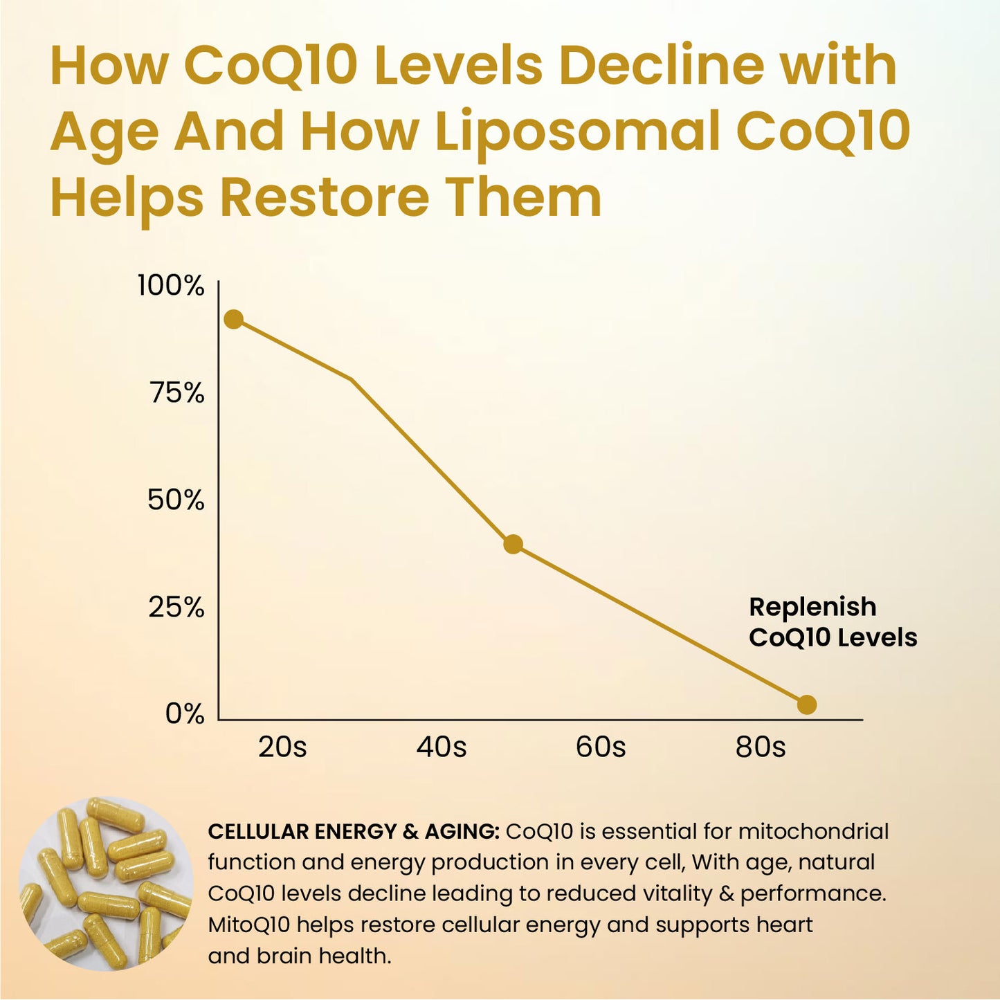 Vlado's Himalayan Organics Liposomal Coenzyme Q10 300mg+ with Magnesium, Vitamin B9 & B12, D-Chiro-Inositol, Garlic, Arjuna & Methyl Folate | High Absorption CoQ10 Ubiquinol Formula – 30 Capsules