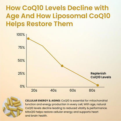 Vlado's Himalayan Organics Liposomal Coenzyme Q10 300mg+ with Magnesium, Vitamin B9 & B12, D-Chiro-Inositol, Garlic, Arjuna & Methyl Folate | High Absorption CoQ10 Ubiquinol Formula – 30 Capsules