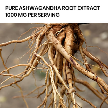 Vlado's Himalayan Organics Liposomal Ashwagandha 1000mg per Serving | Ashwagandha Root Extract | 60 Veg Capsules