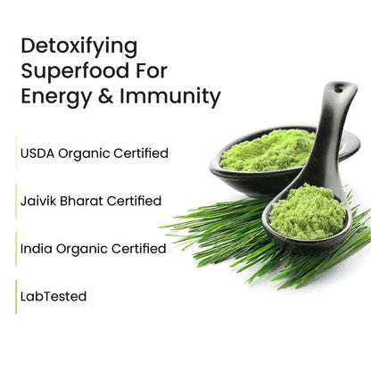 Vlado’s Himalayan Organics Wheatgrass Powder | 100% Natural & Organic | 100g