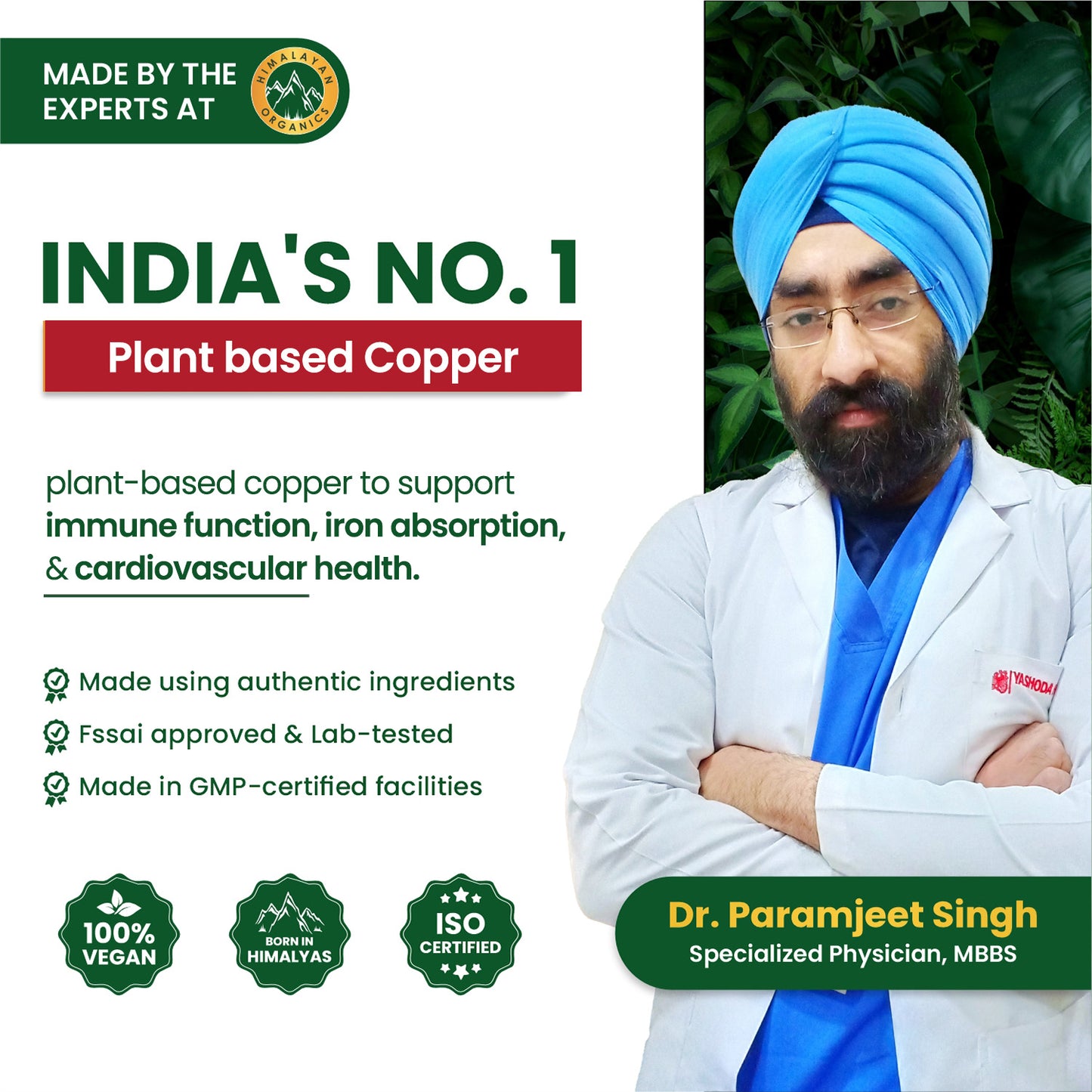 Vlado's Himalayan Organics Plant Based Copper 1700mcg with Green Tea Extract | Support Connective Tissues | Good For Bone Health - 120 Veg Capsules