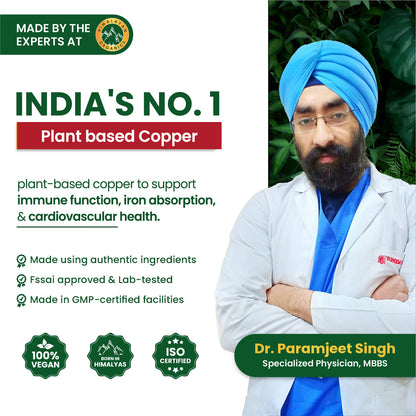 Vlado's Himalayan Organics Plant Based Copper 1700mcg with Green Tea Extract | Support Connective Tissues | Good For Bone Health - 120 Veg Capsules