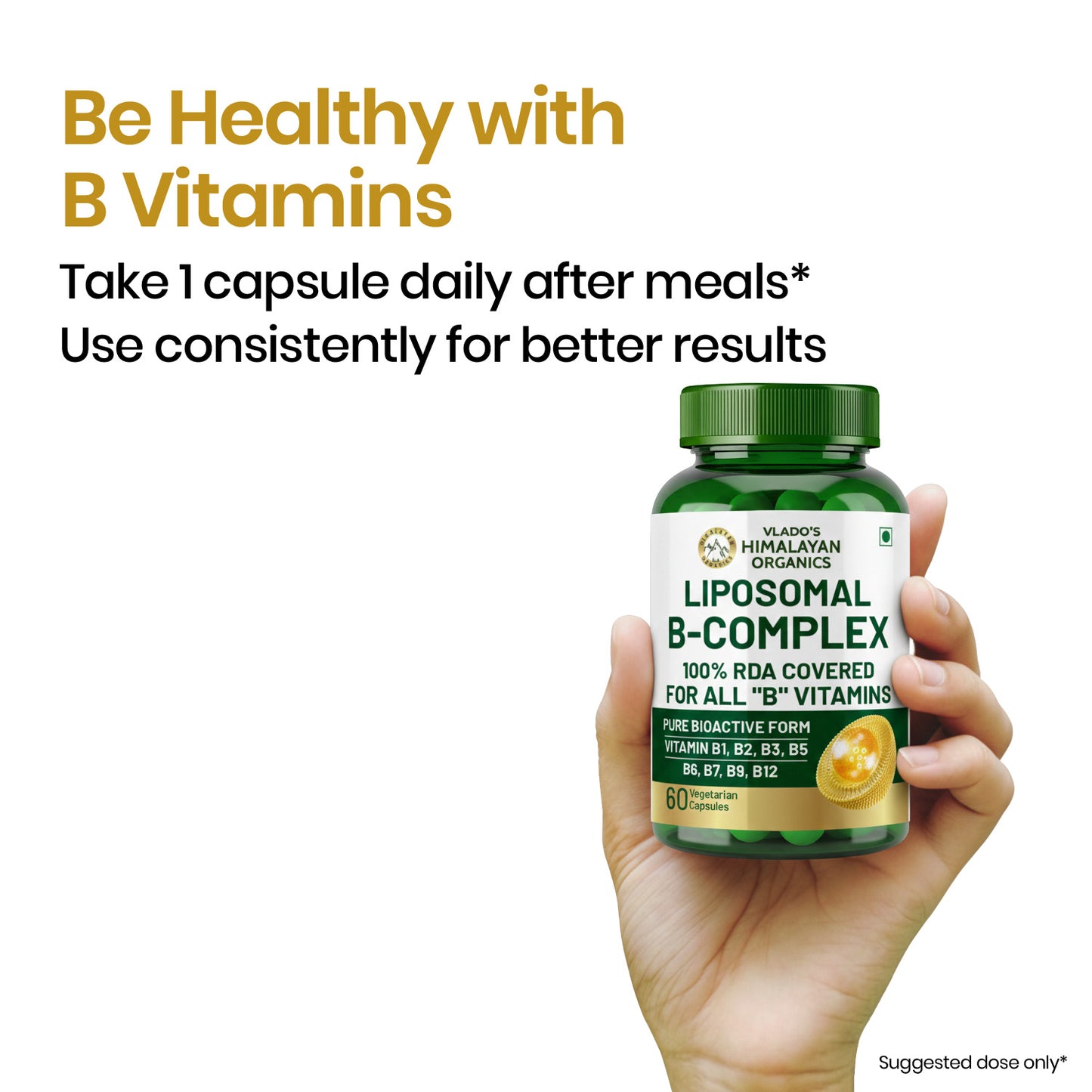 Vlado’s Himalayan Organics Liposomal Vitamin B Complex with 100% RDA B1, B2, B3, B5, B6, B9 & B12 | 60 Capsules
