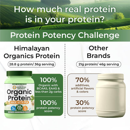 Vlado Himalayan Organics Plant-Based Protein Powder | 100% Organic Pea Protein | 28g Protein, 5g BCAA per Serving | Clean, Vegan, Fast-Absorbing | No Bloating, Easy to Digest | Unflavoured – 500g