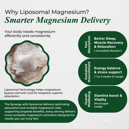 Vlado's Himalayan Organics Liposomal Magnesium Supplement 28000mg | 10 Magnesium Complex with Magnesium Citrate, Glycinate, Threonate, Oxide & More | With Vitamin D3 & B12 | High Bioavailability Formula | 60 Veg Tablets
