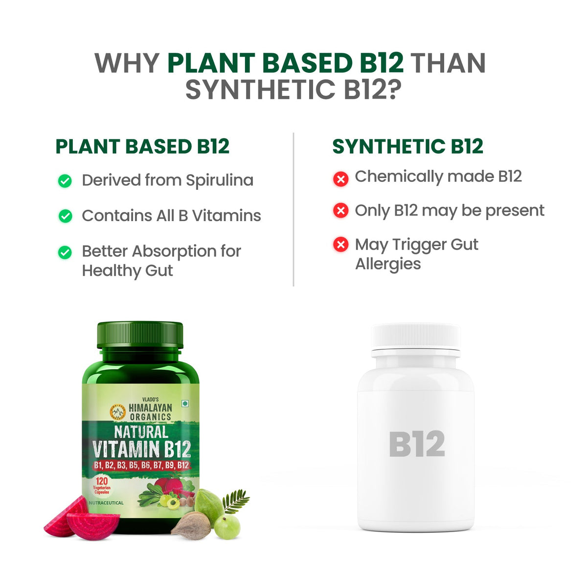 Vlado's Himalayan Organics Natural Vitamin B12 with B1, B2, B3, B5, B6, B7, B9 & Moringa | Plant-Based Formula | 120 Vegetarian Capsules
