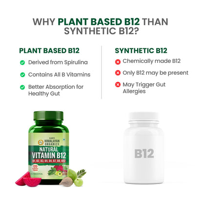 Vlado's Himalayan Organics Natural Vitamin B12 with B1, B2, B3, B5, B6, B7, B9 & Moringa | Plant-Based Formula | 120 Vegetarian Capsules