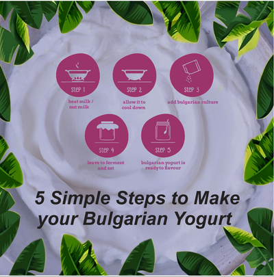 TempehChennai -Bulgarian Yogurt Starter Culture (2 Sachets)