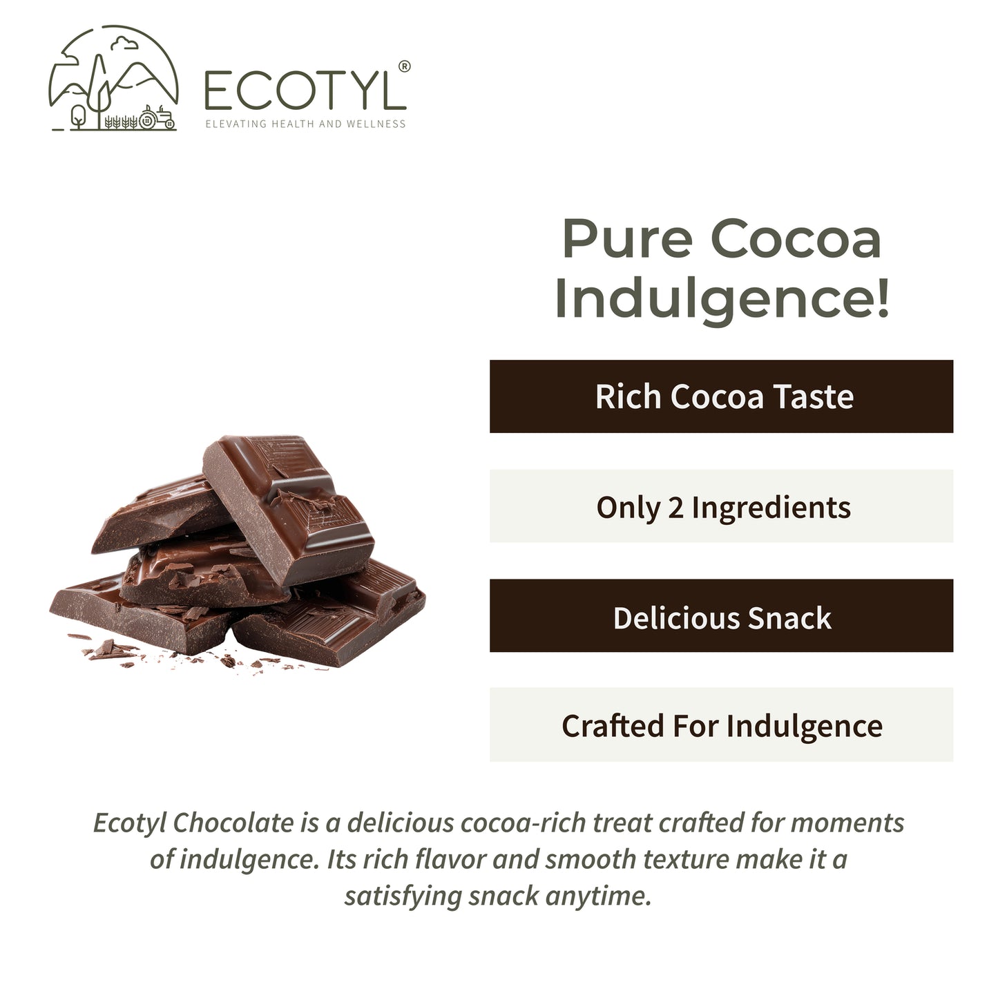 Ecotyl 70% Dark Chocolate | Rich Cocoa | Premium Indulgence | 40g