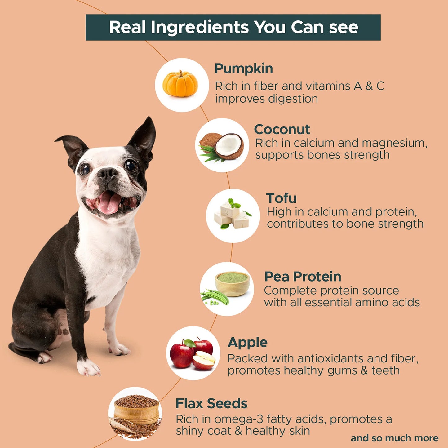 FURRMATE Fresh Wet Dog Food (300g) | Hypoallergenic & Gluten-free | NO-Lamb Meal