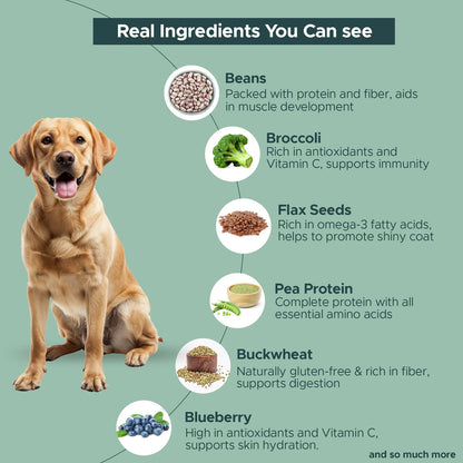 FURRMATE Fresh Wet Dog Food | Hypoallergenic & Gluten-free | NO-Fish Dish (300g)