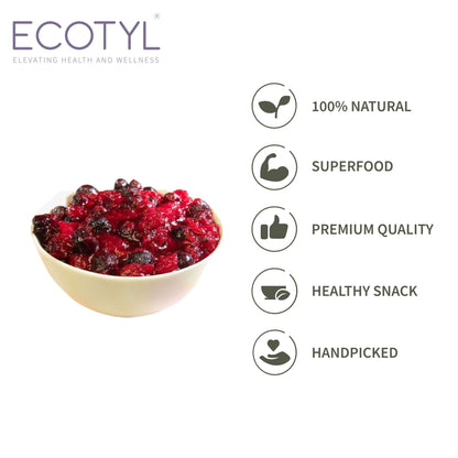 Dried Blueberres & Dried Cranberries Combo | Healthy Snacks | Dried Fruits | 150g Each