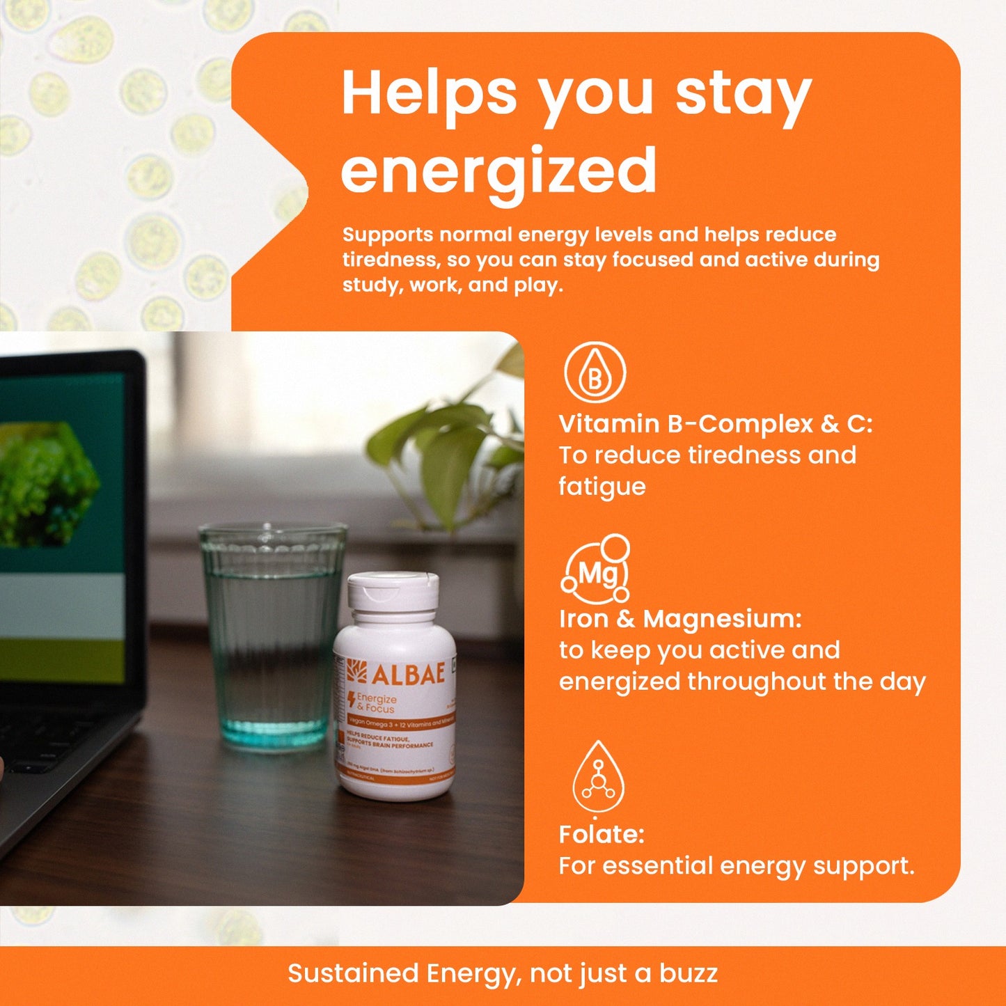 Albae Energize & Focus | 250mg Plant-based Algal DHA Omega-3 + 12 Essential Vitamins & Minerals | Supports Brain Function, Mental Performance & Energy | 30 Lemon-Scented Plant Based Softgels.