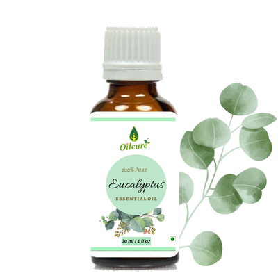 Oilcure Eucalyptus Oil - 30 ml
