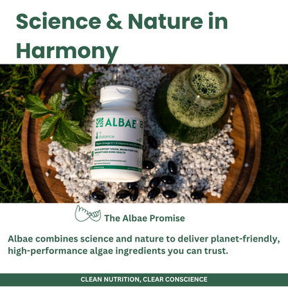 Albae V-Balance | 250mg Algal DHA Omega-3 + 11 Essential Vitamins & Minerals | Multivitamin | Targeted Nutrition for Plant-Based Diets | Vitamin D3, K2, Calcium, B12 & Iron | 60 Lemon-Scented Plant Based Softgels