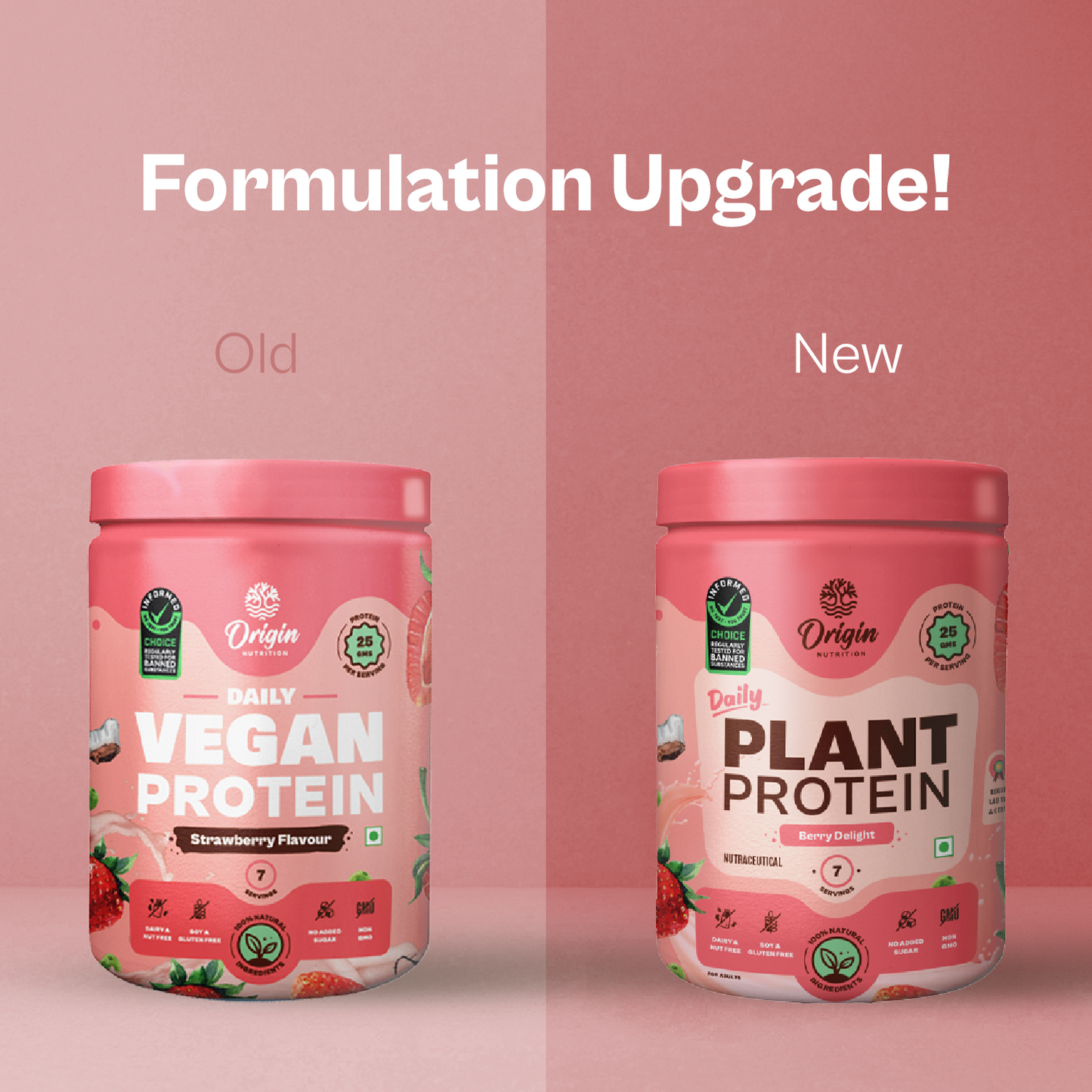 Origin Nutrition Plant Protein Powder Strawberry Flavour with 25g Protein Per Serving, 286g