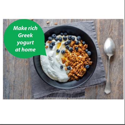 TempehChennai | Greek Yogurt Starter Culture Prioritising your Gut Health (2 Sachets)