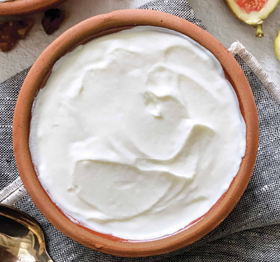 TempehChennai | Greek Yogurt Starter Culture Prioritising your Gut Health (2 Sachets)