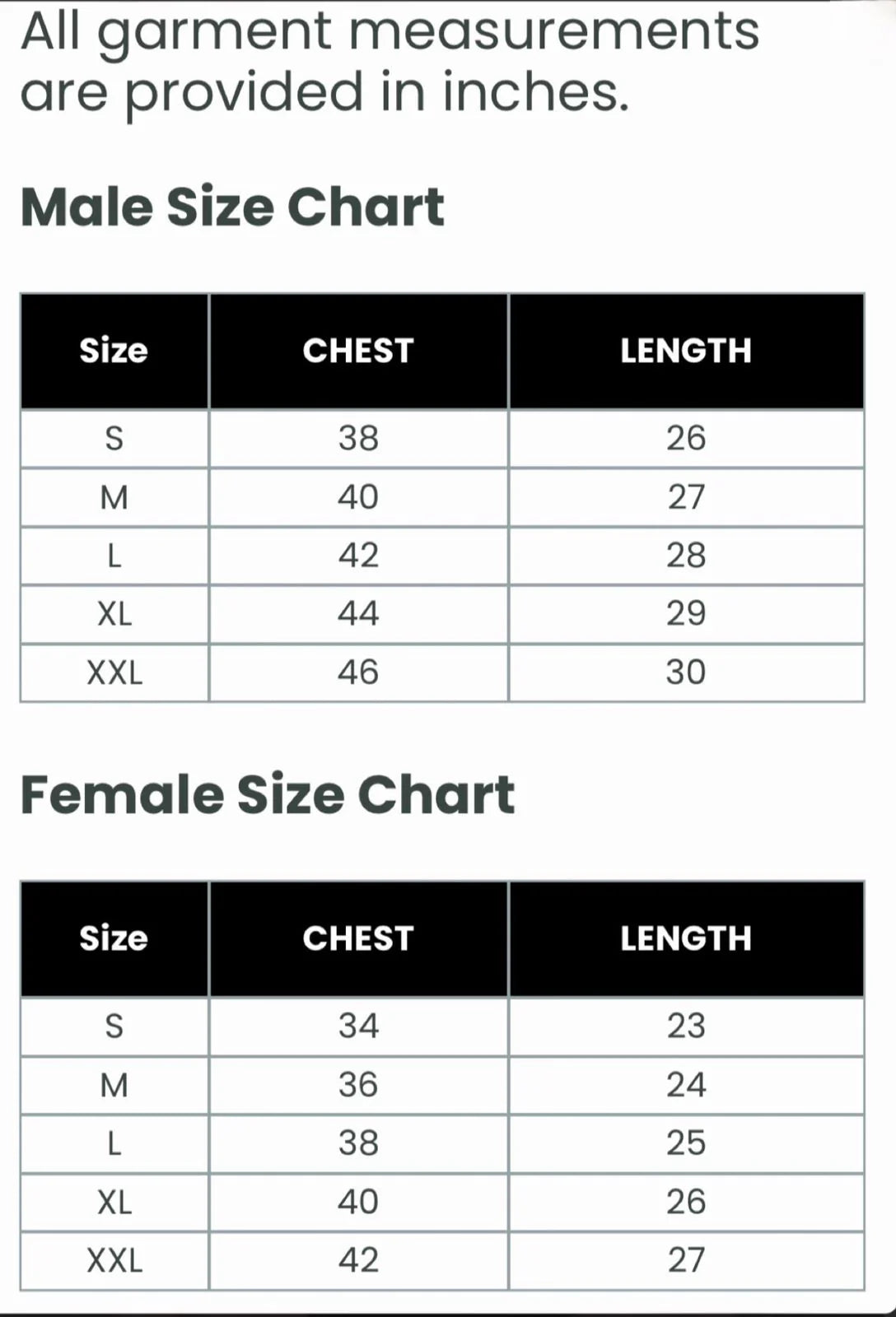 T-Shirt | Avo, Always Love You and Animals