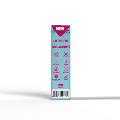 Vegan Drink Company Oat Milk Barista Edition