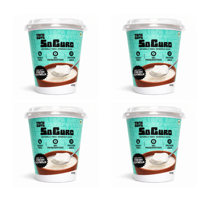 Tofu Guys_SoCurd, 400gm (pack of 2/4) (Bangalore only)