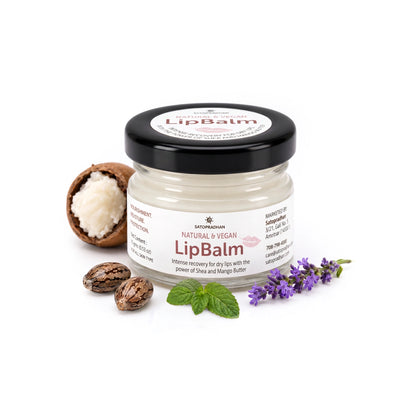 Lip Balm for Dry & Chapped Lips 15g - Cold-Pressed Shea & Mango Butter
