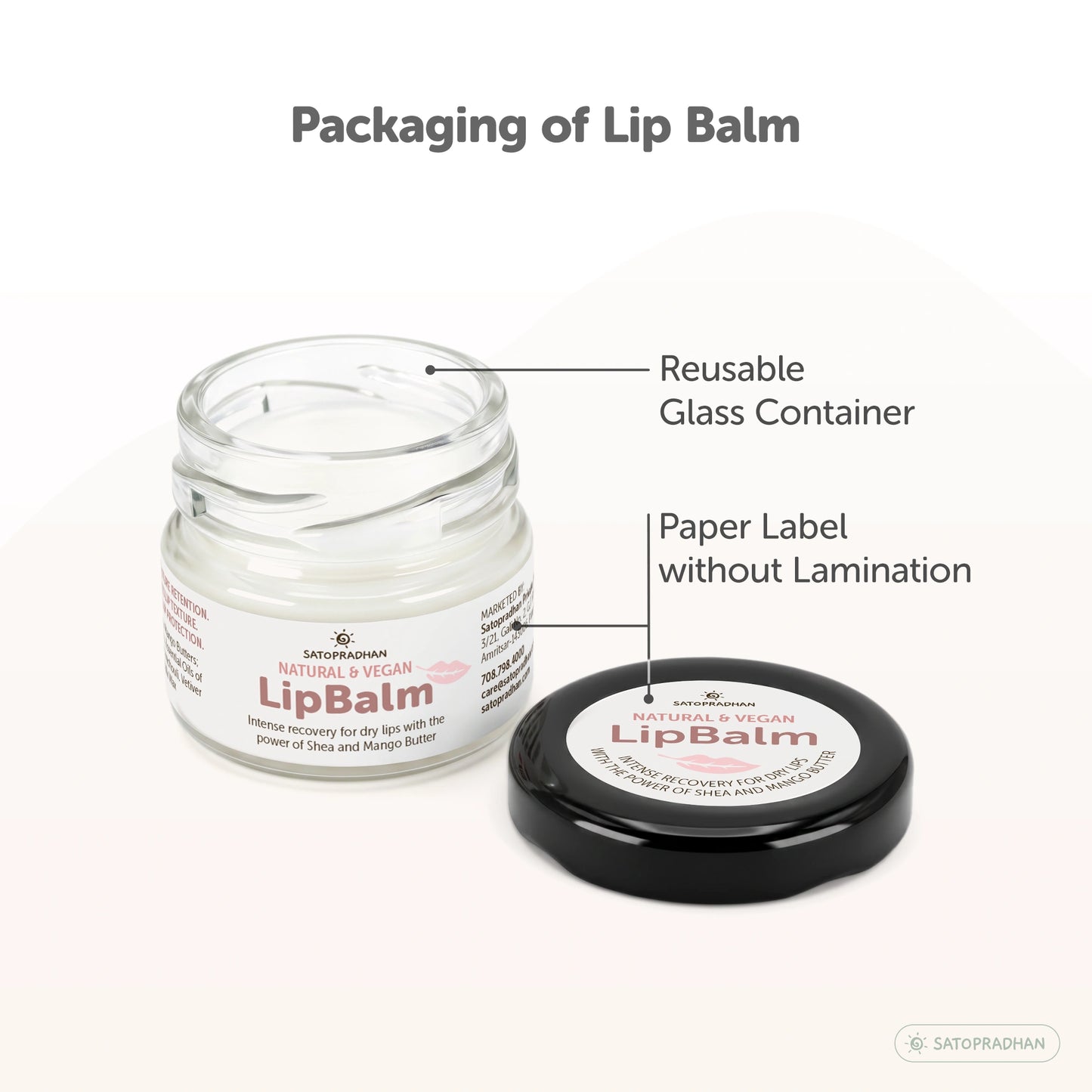 Lip Balm for Dry & Chapped Lips 15g - Cold-Pressed Shea & Mango Butter