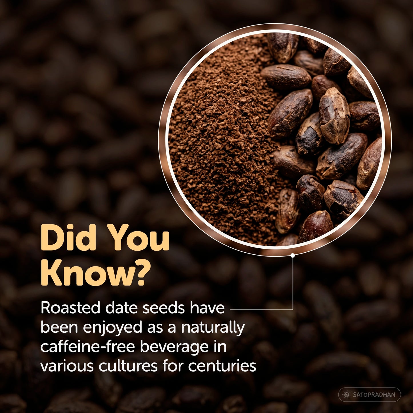 noCoffee Date Seed Powder 100g - Best Caffeine Free Coffee Alternative – Non Acidic Coffee for GERD & IBS – Organic, Gut Friendly, Plant-Based Coffee Substitute – Coarsely Ground