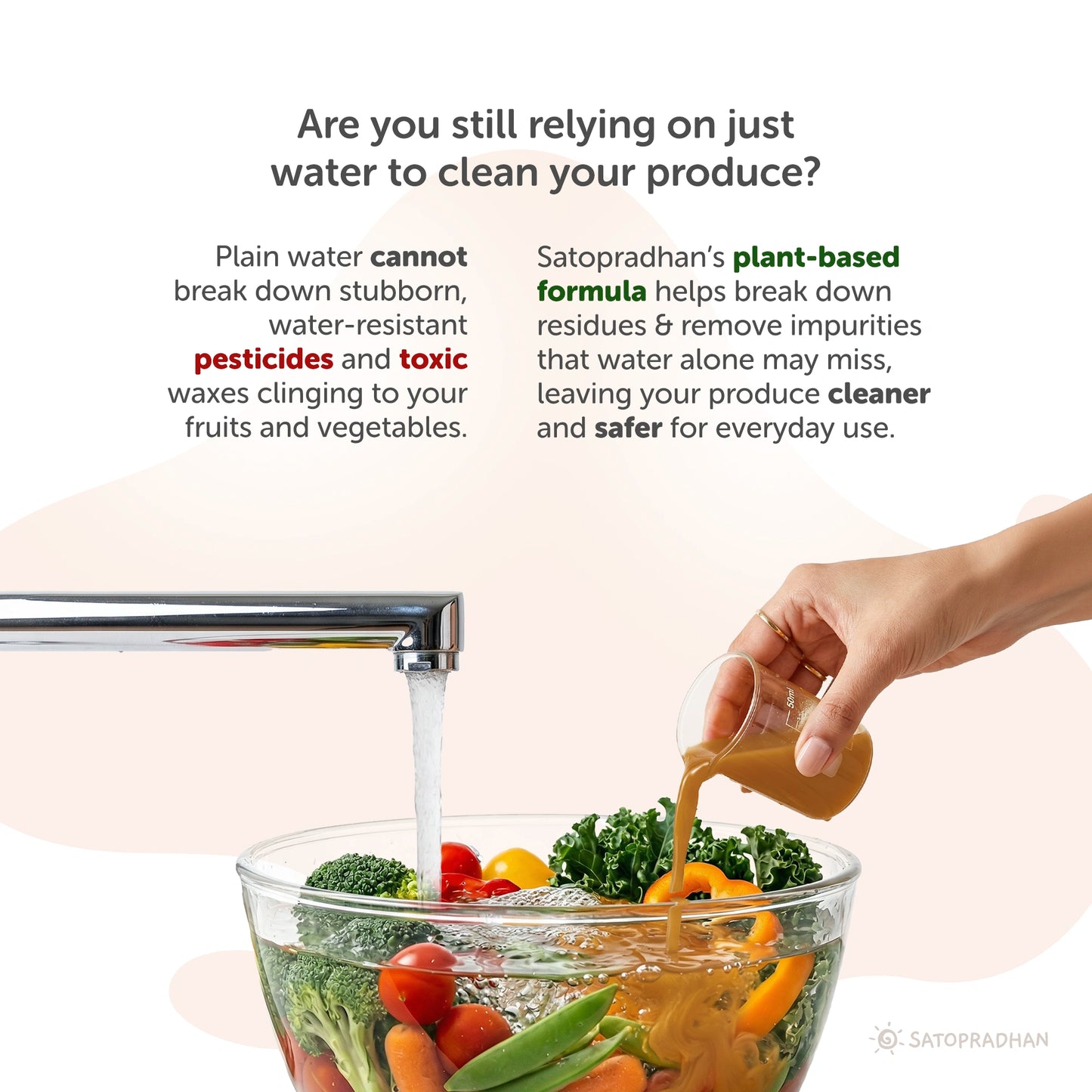 Natural Fruit & Vegetable Wash 750ml - Bioenzyme Based Produce Cleaner - Chemical-Free Vegetable Wash Liquid Cleaner