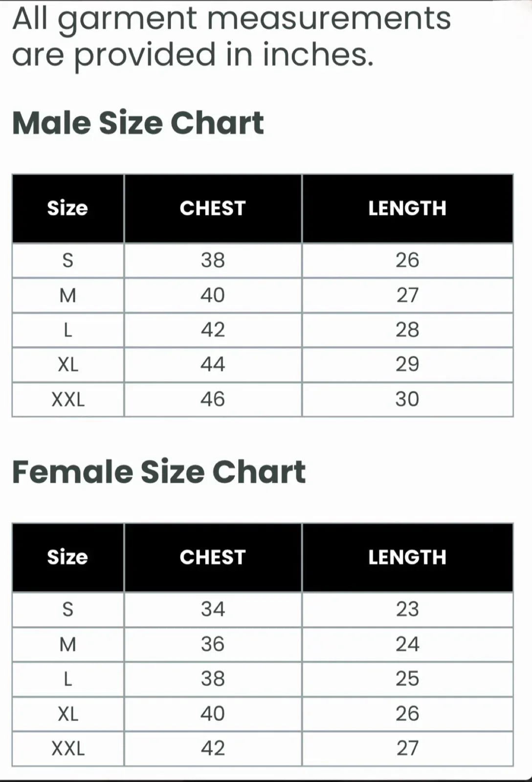 Women's T-Shirt | 100% Plant-Powered